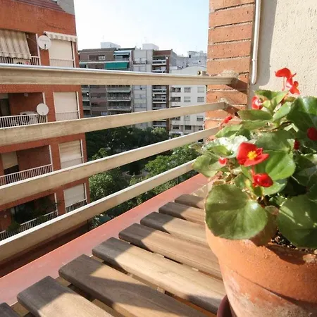 Minvas Centro 2 Castellón de la Plana